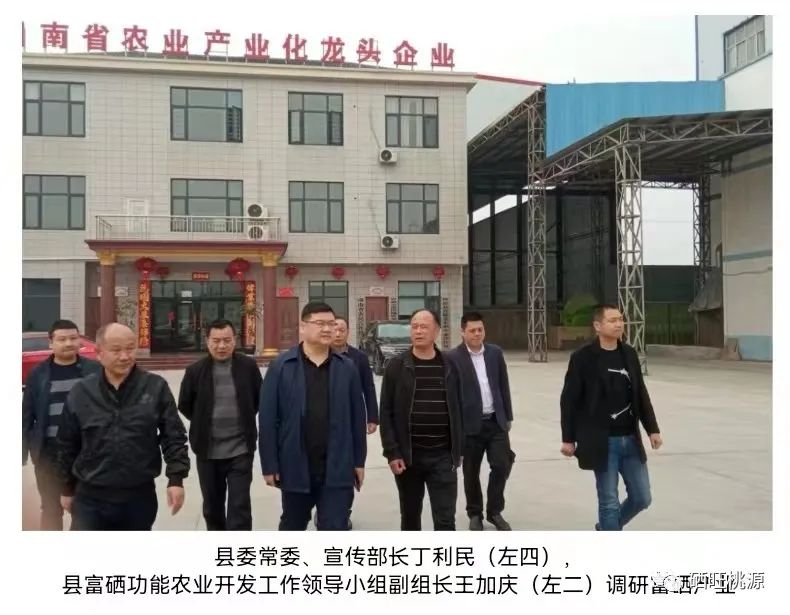 縣委常委、宣傳部長(zhǎng)丁利民調(diào)研富硒基地和預(yù)制菜產(chǎn)業(yè)